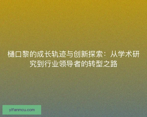 樋口黎的成长轨迹与创新探索：从学术研究到行业领导者的转型之路